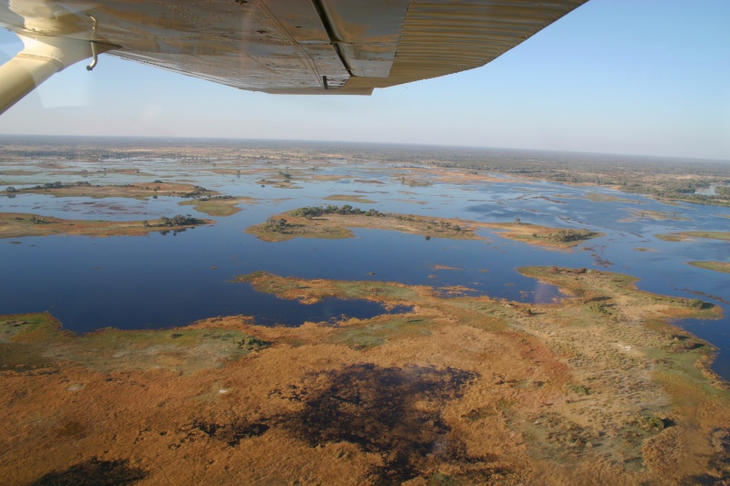 Botswana, Delta Okavango