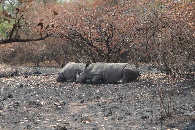 Uganda, Santuario di Ziwa