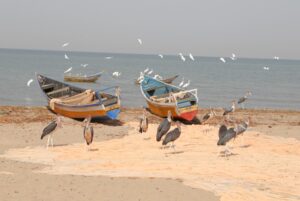 Uganda, villaggio di Butiaba