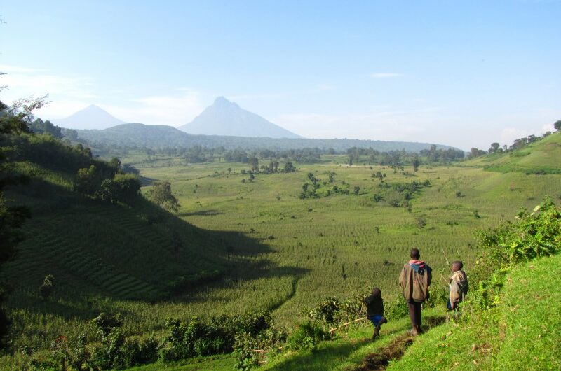Congo, Parco Virunga