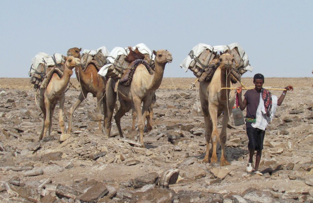 Etiopia, Deserto della Dancalia