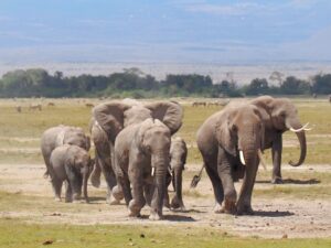 Kenya, il mio itinerario in Kenya