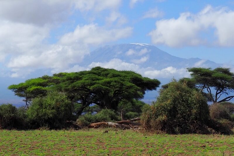 Kenya, Parco di Amboseli