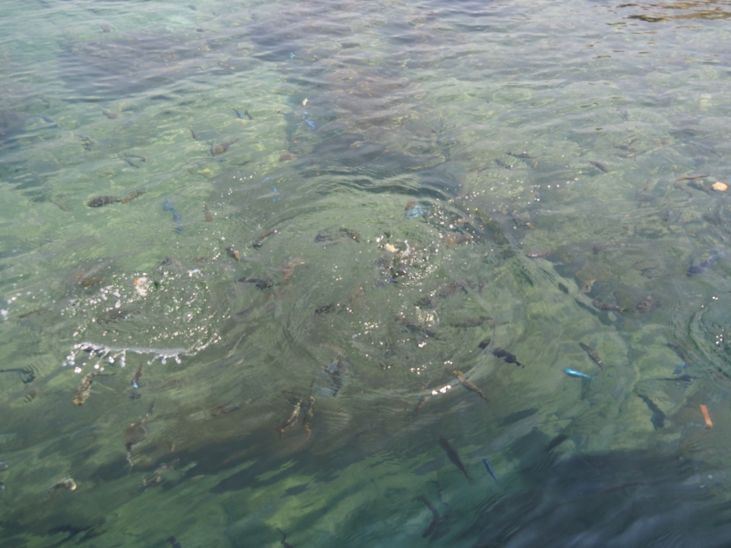 Malawi, Lago Malawi