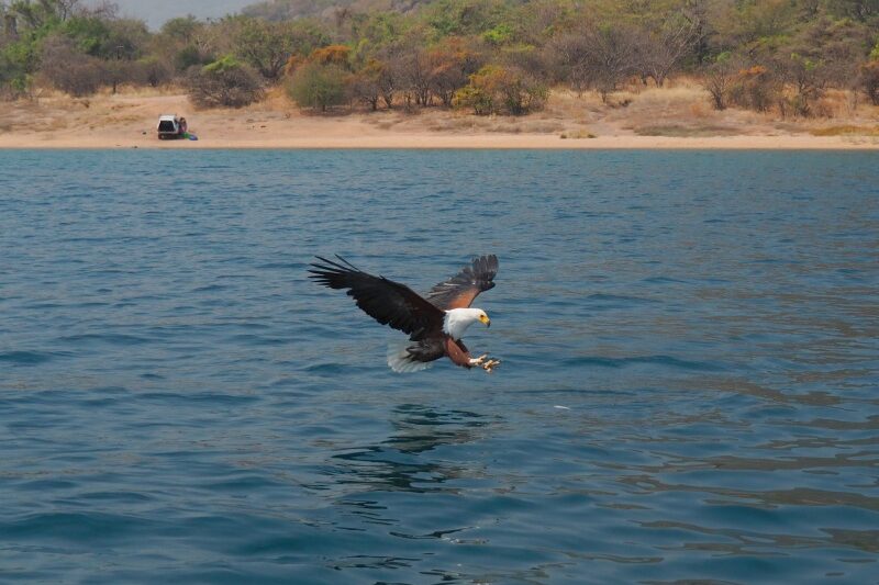 Malawi, Lago Malawi