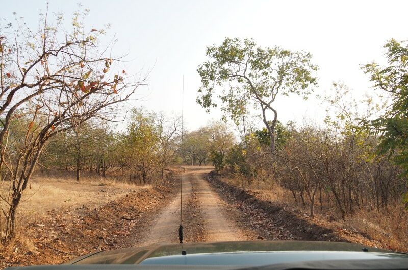 Malawi, Riserva di Majete