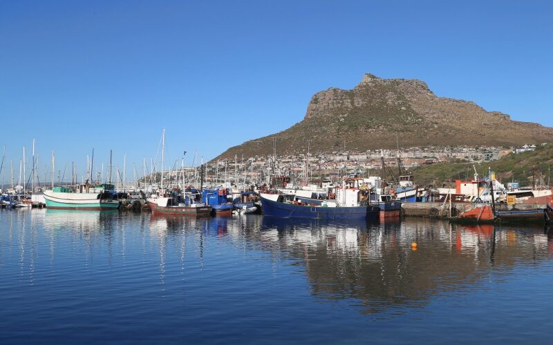 Sudafrica, Penisola del capo
