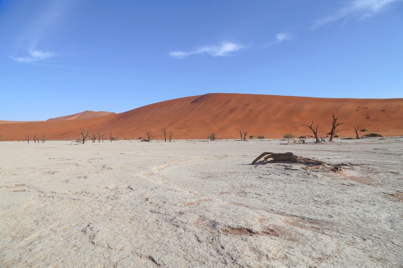 Namibia, Deadvlei