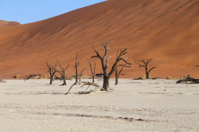 Deadvlei: guida completa alla visita