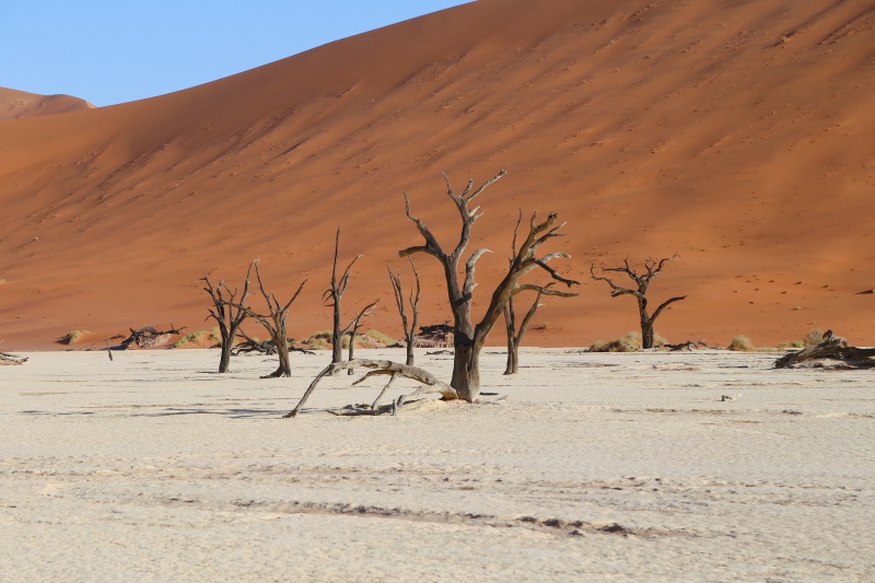 Namibia, Deadvlei