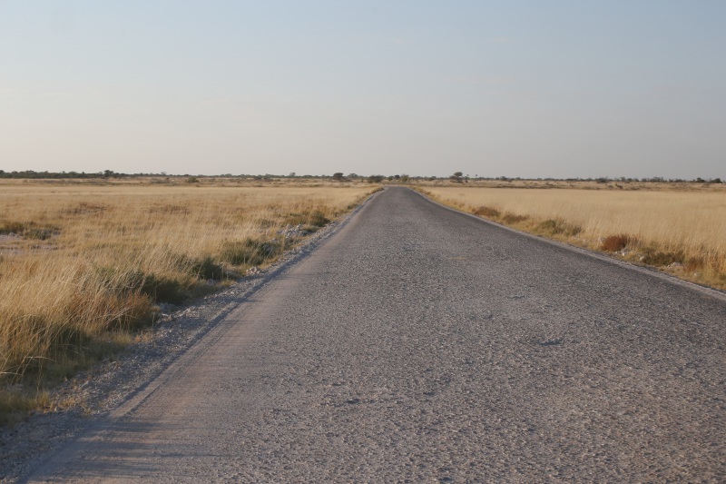 Namibia, Parco Nazionale Etosha