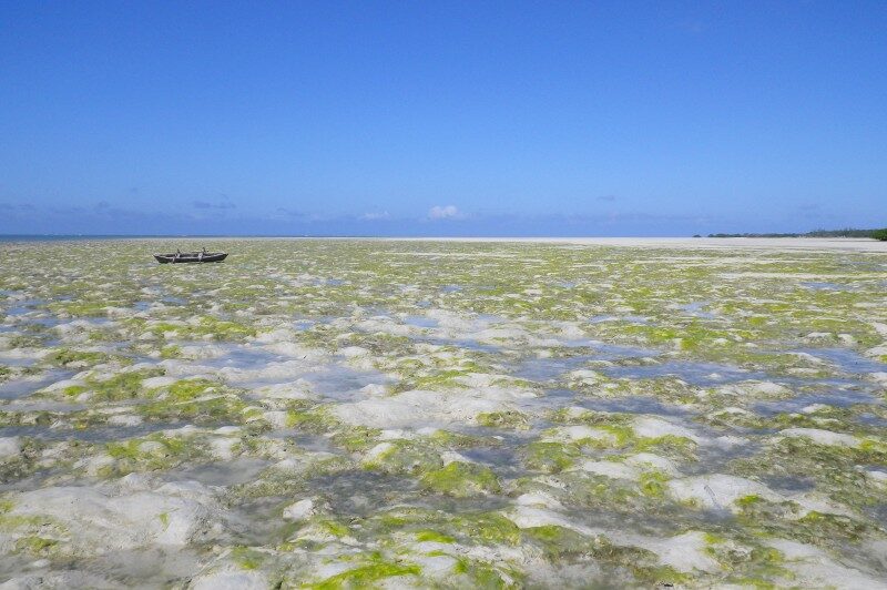 Mozambico, Isole Quirimbas