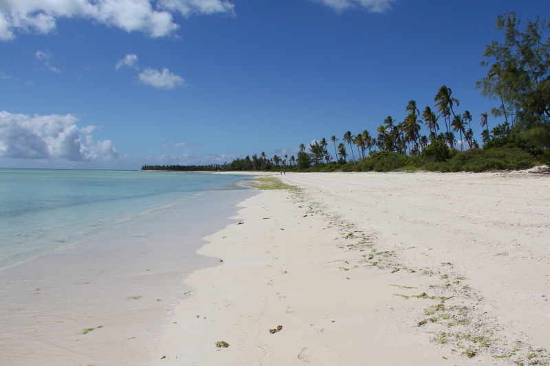 Mozambico, Isole Quirimbas