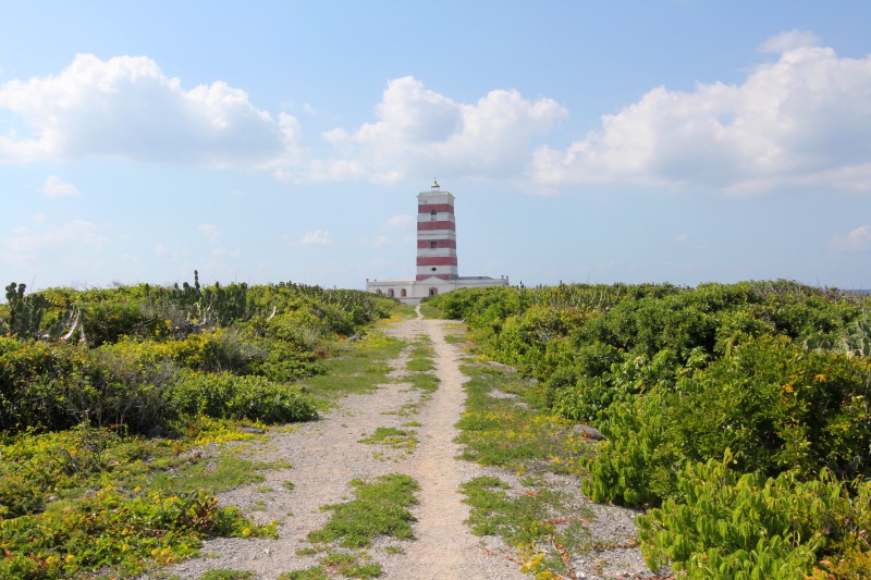 Mozambico, Isola di Mozambico