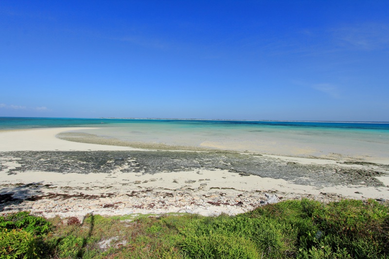 Mozambico, Isola di Mozambico