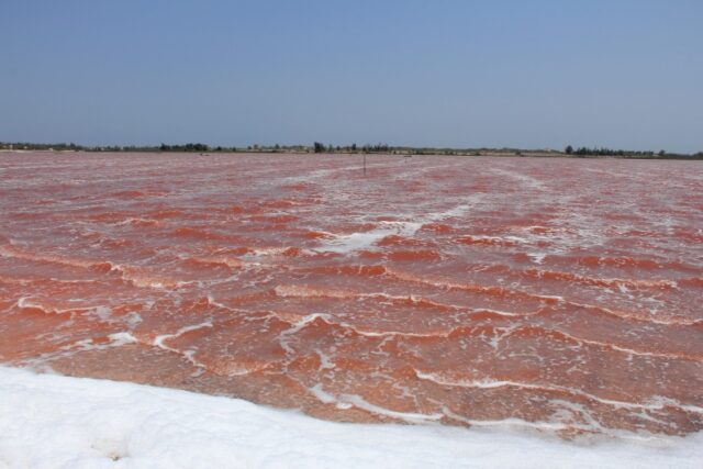 Le acque rosa del Lago Retba in Senegal, cosa fare, come arrivare, guida di viaggio
