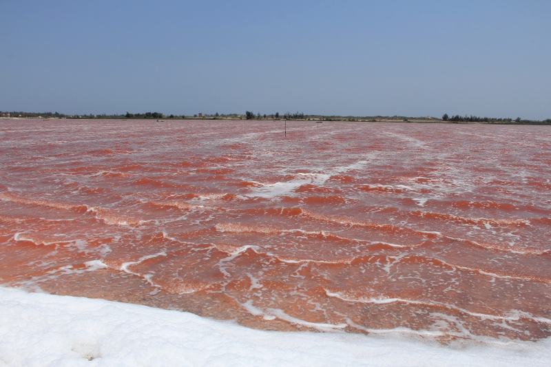 Senegal, Lago Retba