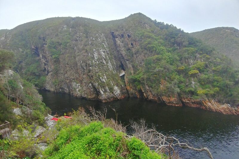 Sudafrica, Parco Tsitsikamma