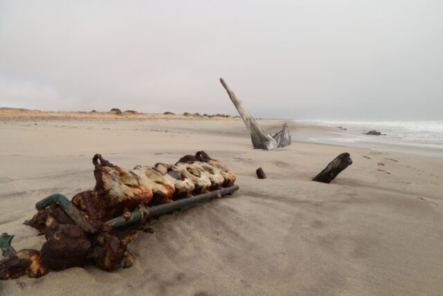 Come esplorare la Skeleton Coast