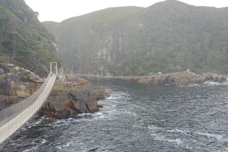 Sudafrica, Parco Tsitsikamma