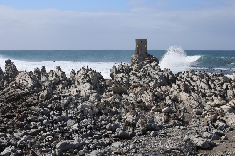 Sudafrica, Betty's bay