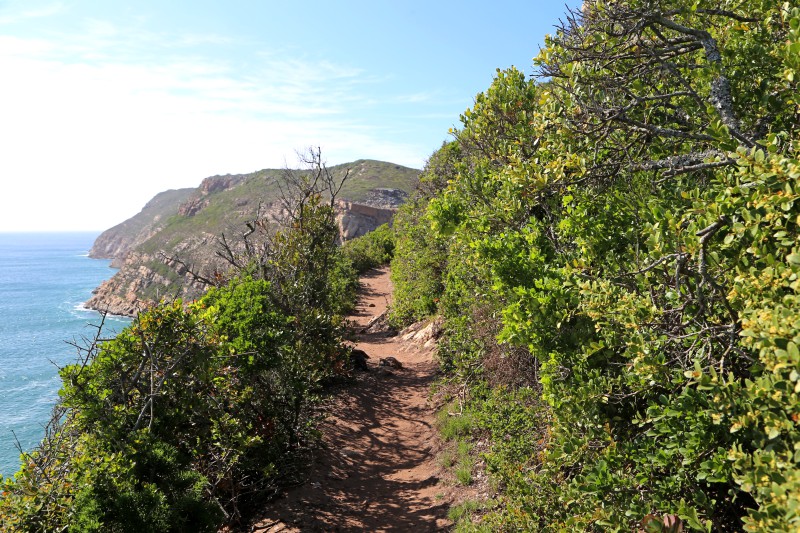 Sudafrica, Penisola di Robberg