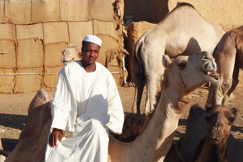 Sudan, mercato dei cammeli