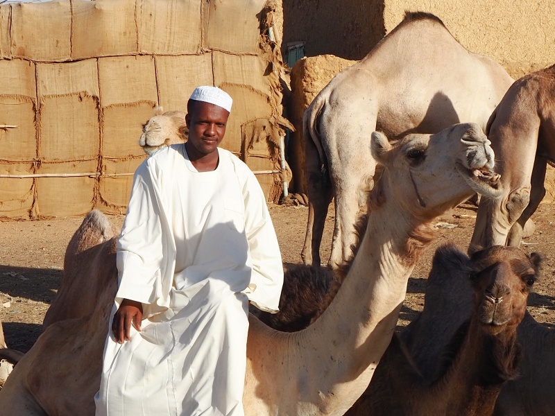 Sudan, mercato dei cammelli
