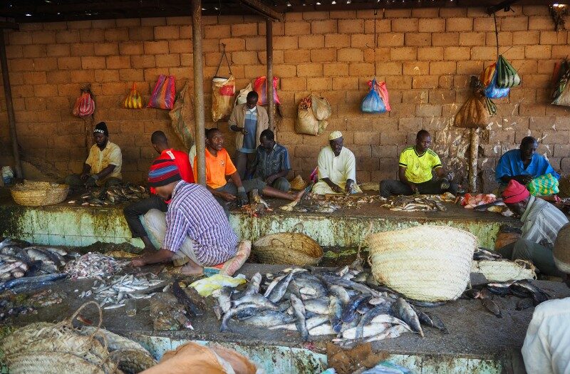 il mercato del pesce di Khartoum