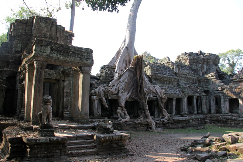Cambogia, i templi di Angkor