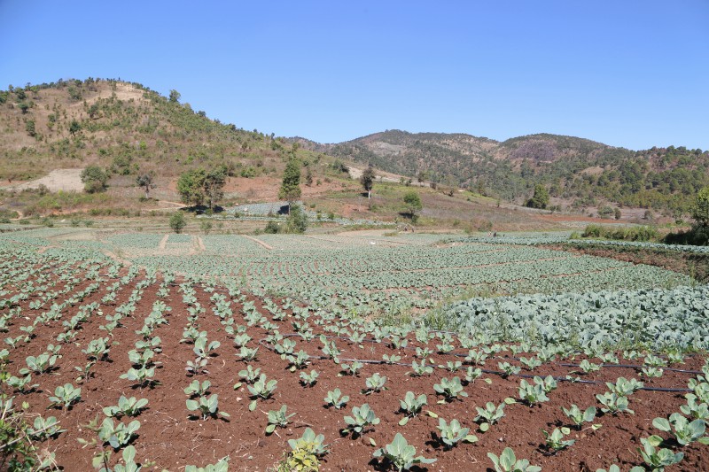 Myanmar