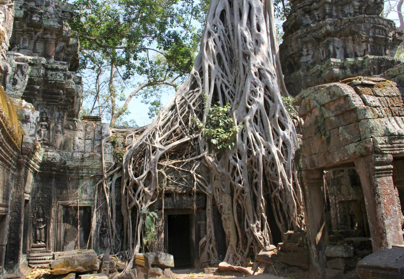 Cambogia, i templi di Angkor