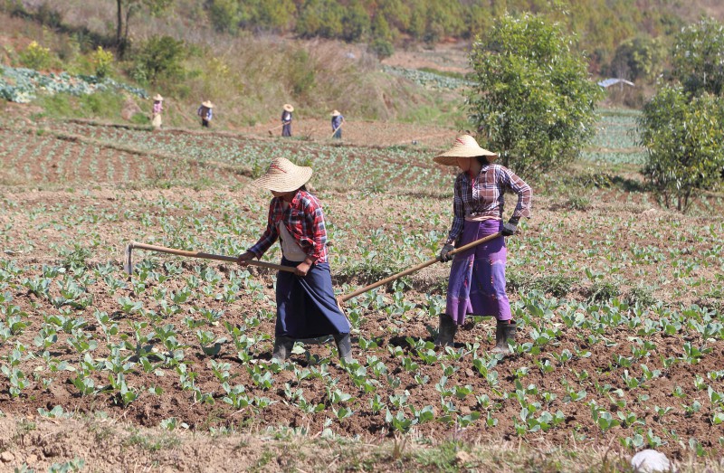Myanmar, Kalaw