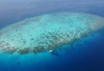 Maldive