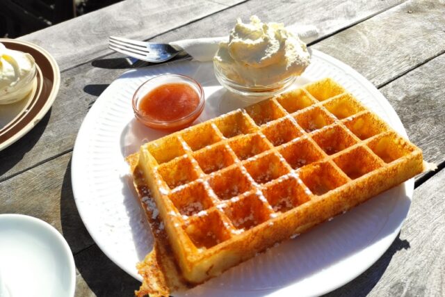 Islanda, i waffles del Caffè Simbahollin di Thingeyri