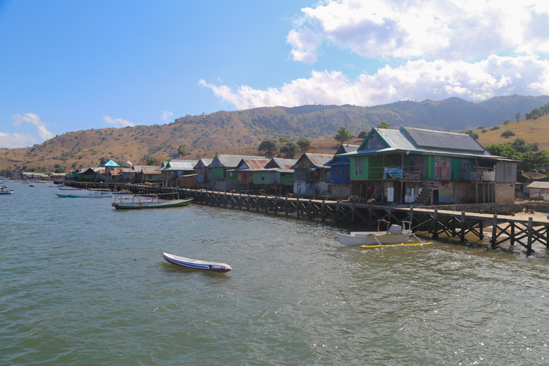 Indonesia, Parco di Komodo