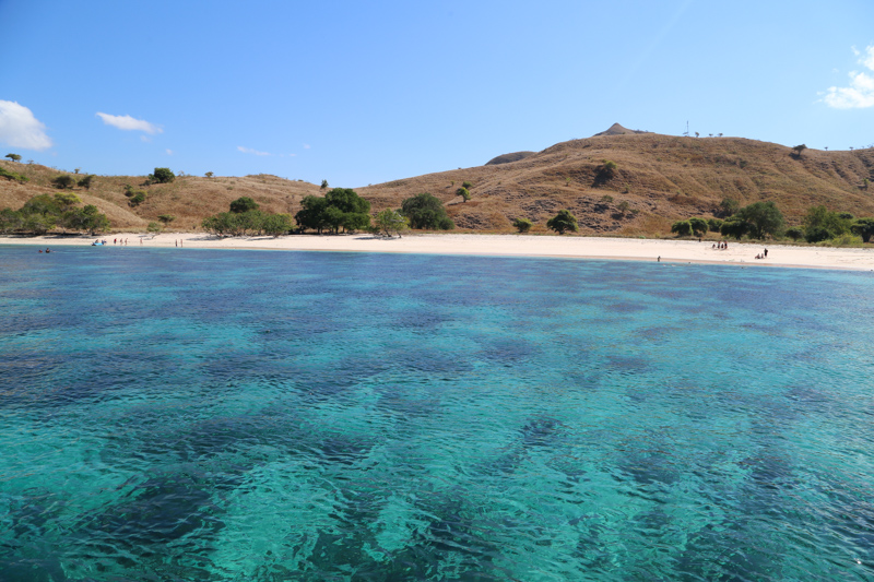 Indonesia, Parco di Komodo