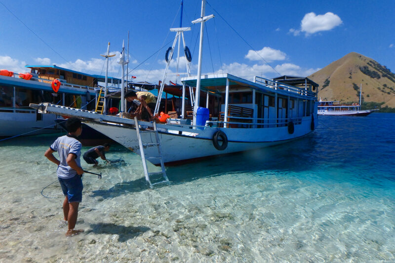 Indonesia, Parco di Komodo
