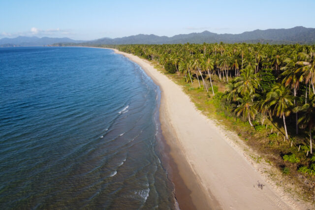 Cosa fare a San Vicente Palawan