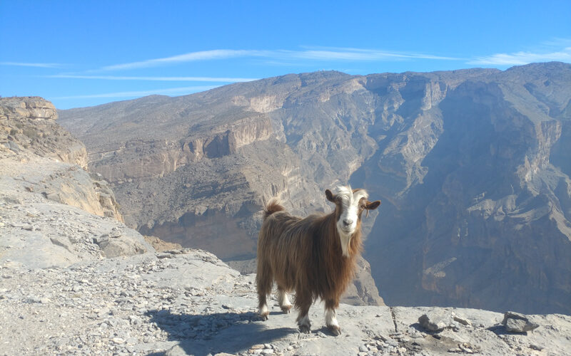 Oman, Jebel Shams