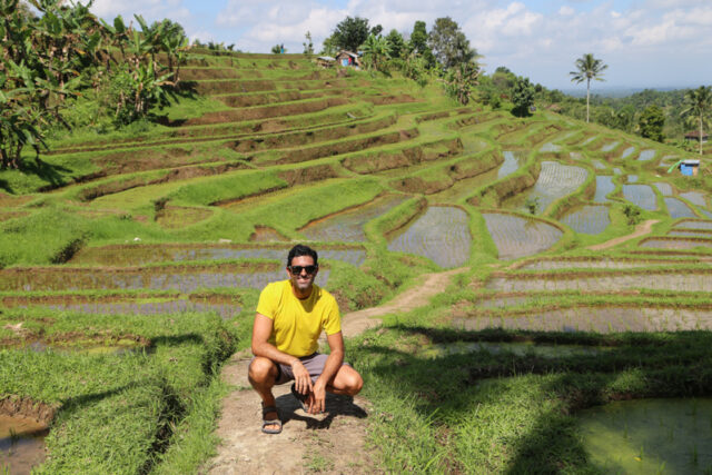 Bali, le risarie di Jatiluwih