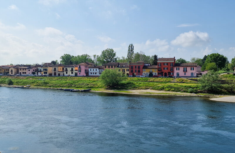 Pavia