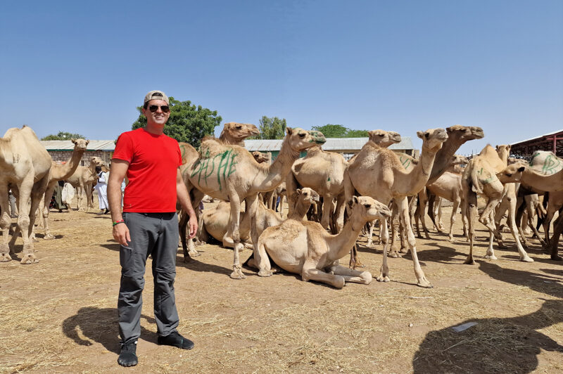 Somaliland, Hargheisa
