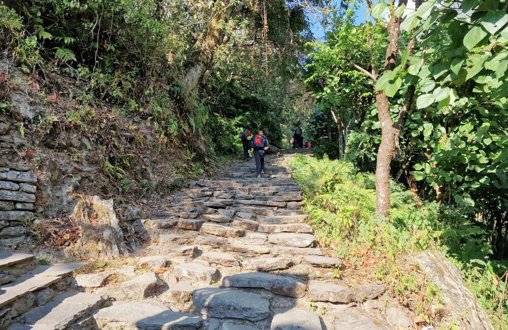 Nepal, trekking di Poon Hill