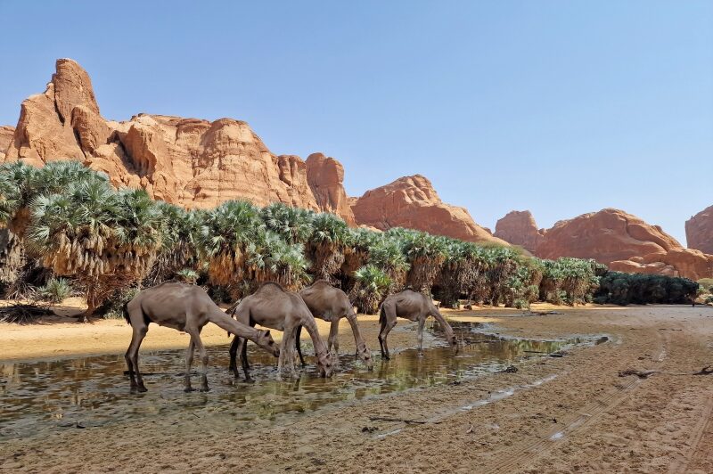 Ciad, regione dell'Ennedi