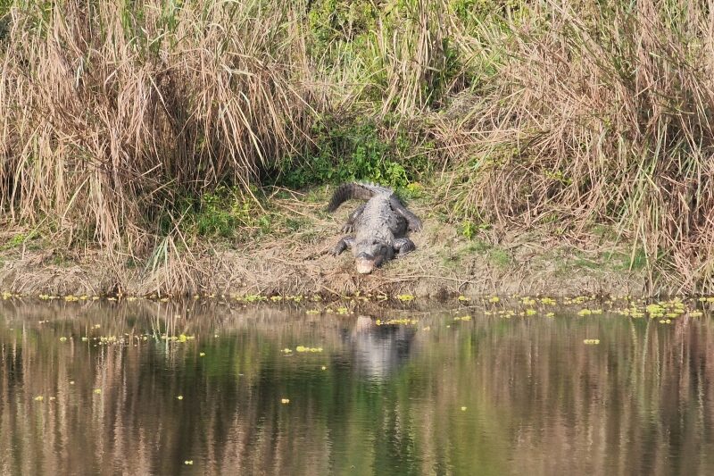 Nepal, Parco di Chitwan