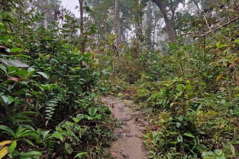 Nepal, Parco di Chitwan