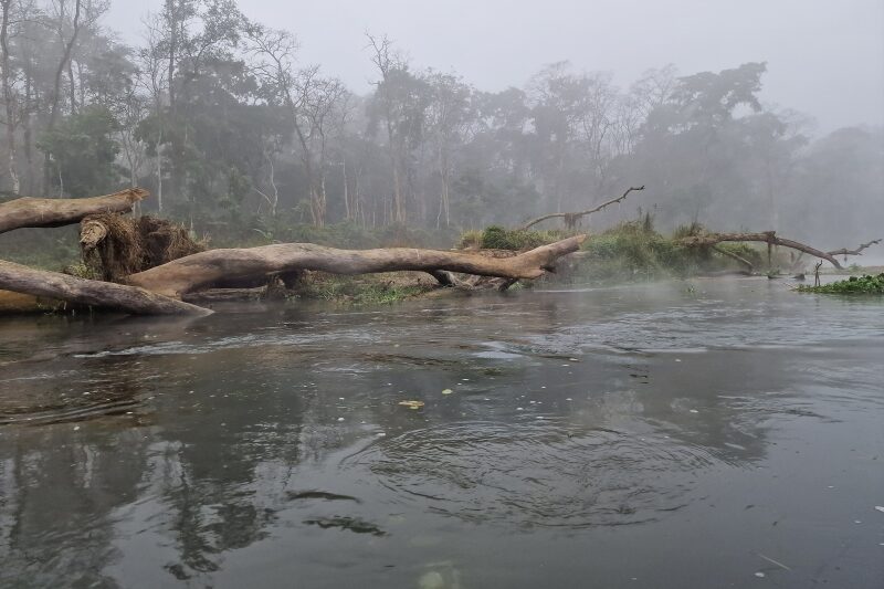 Nepal, Parco di Chitwan
