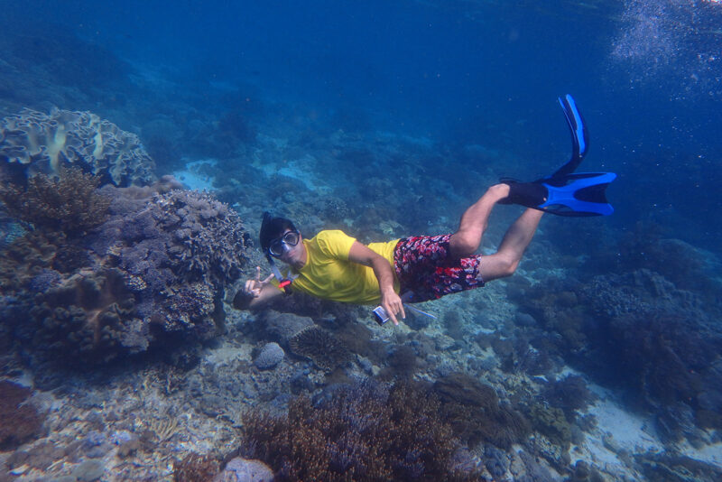 Indonesia, Komodo
