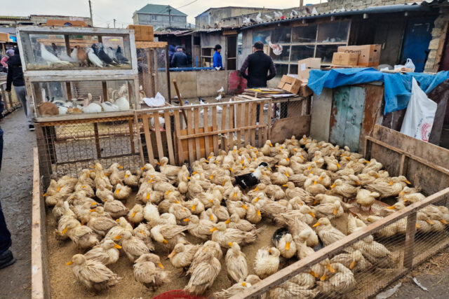 Sabunchu, il Pittoresco Mercato delle Pulci di Baku